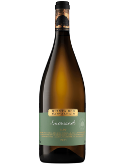 QUINTA DOS CARVALHAIS...